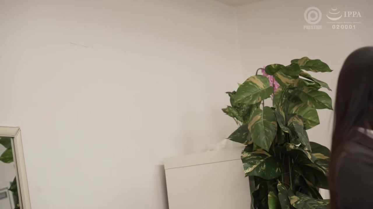 0006263_NTR ドラッグ 美女などが含まれている