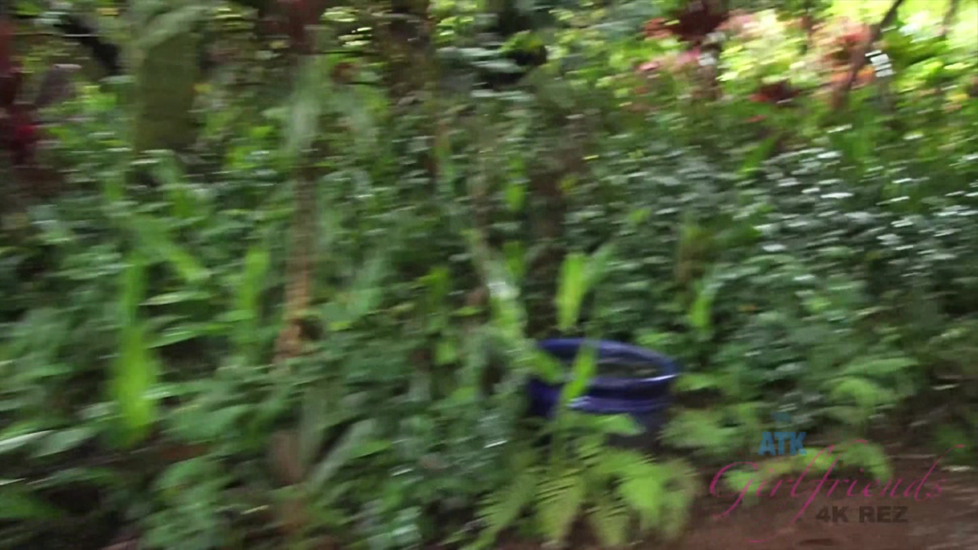 Virtual Vacation With Brittany Shae Part 9