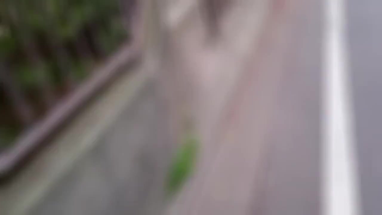 Asian Angel 14382