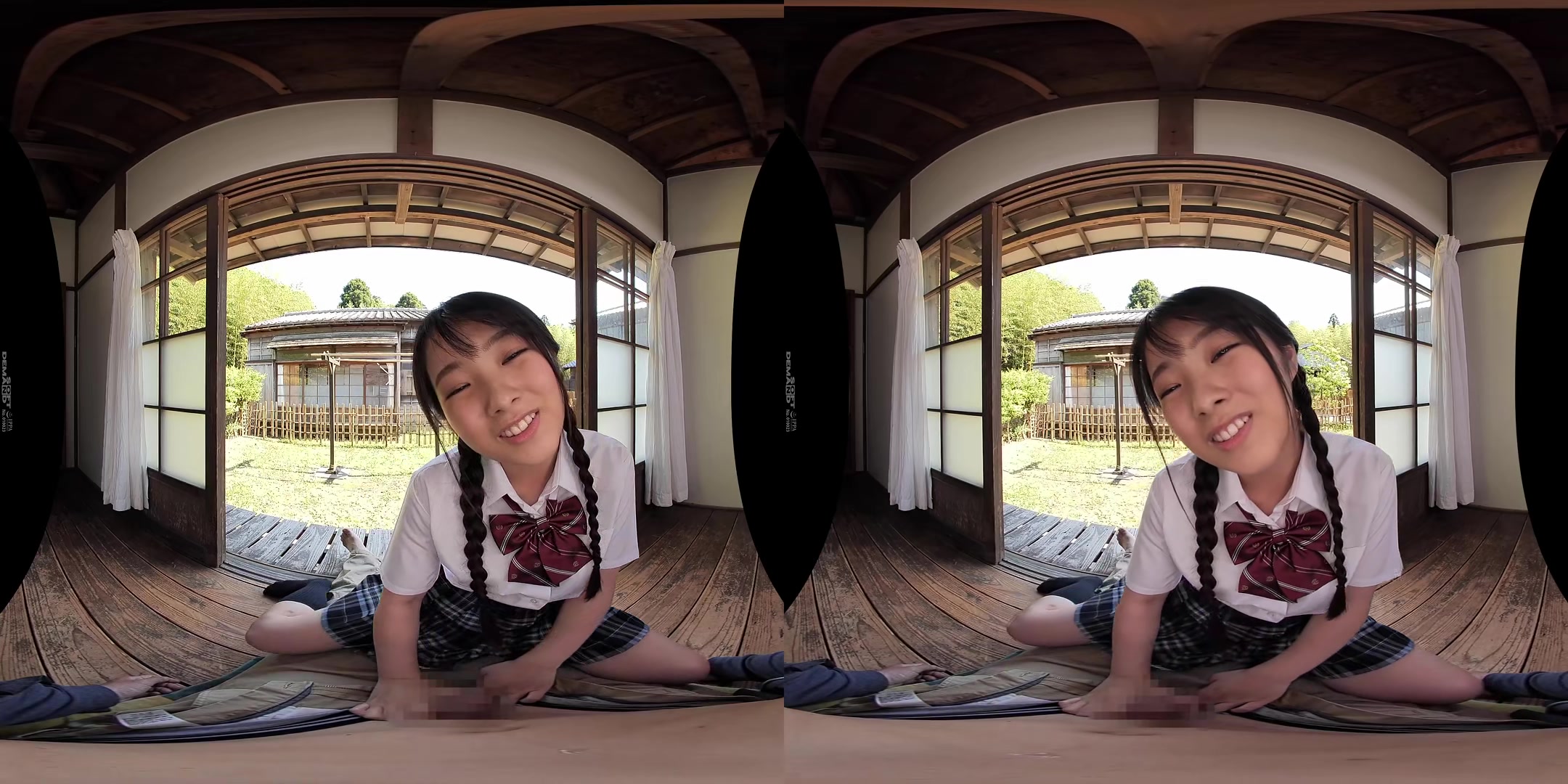 Face Licking VR - SodCreate