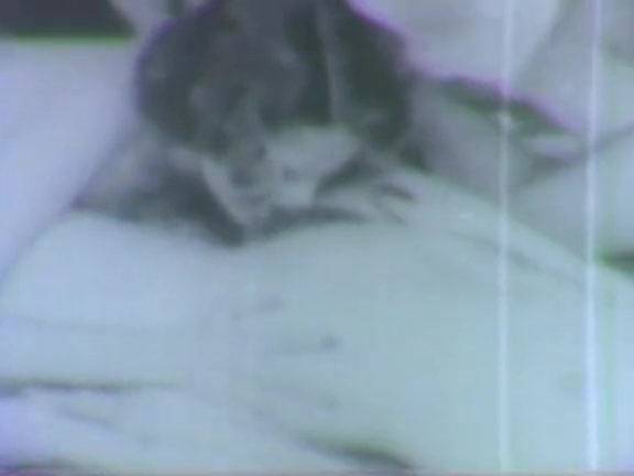 Retro Porn Archive Video: Lusty Lationos 03