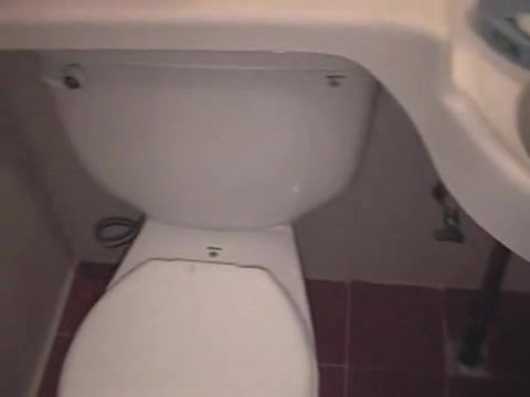 Short-haired Korean woman gets slammed in the bathroom
