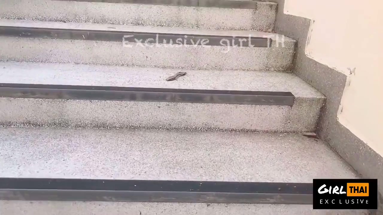 Outdoor Pussy Show โชวnuอกสถาuท