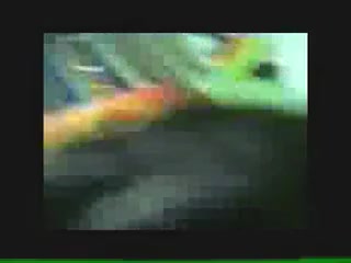 Asian bitch sucks cock with passion before fucking