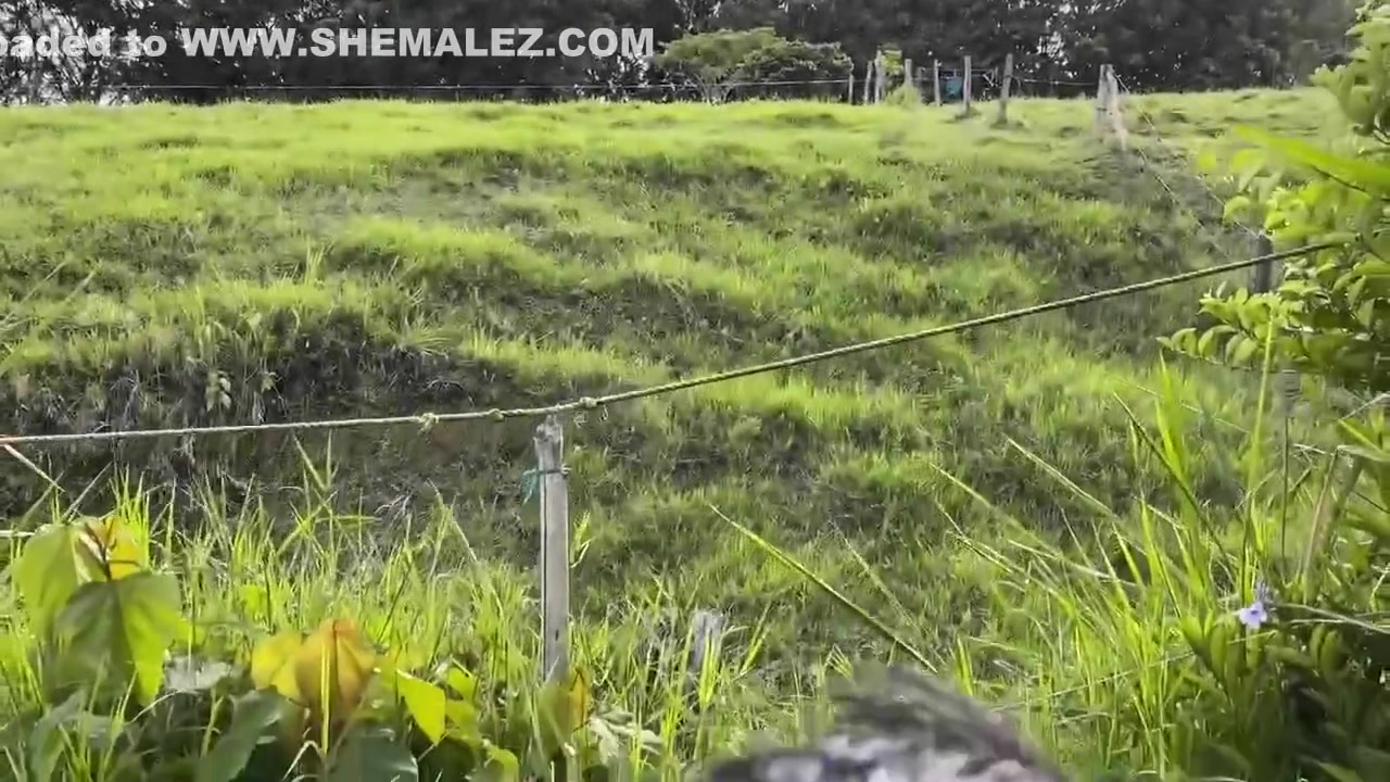 Challenging My Neighbors- Cum Rain Piss