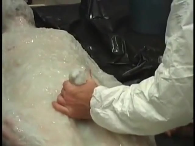 Mummified In Latex Epoxy *nicer