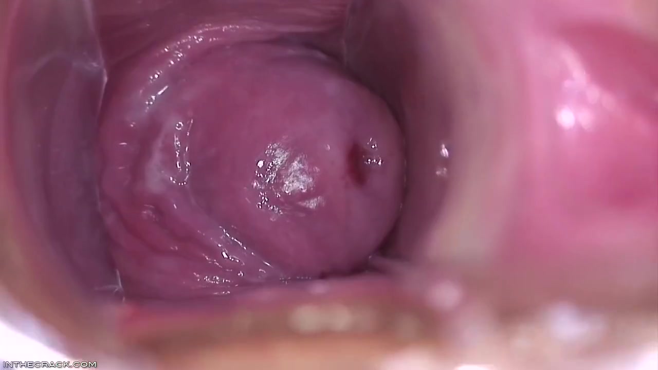 Inside Brandys Pussy