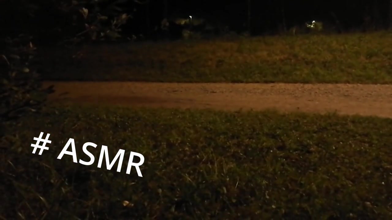 Sortie De Nuit Au Stade