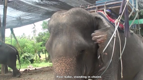 Blowjob as a punishment