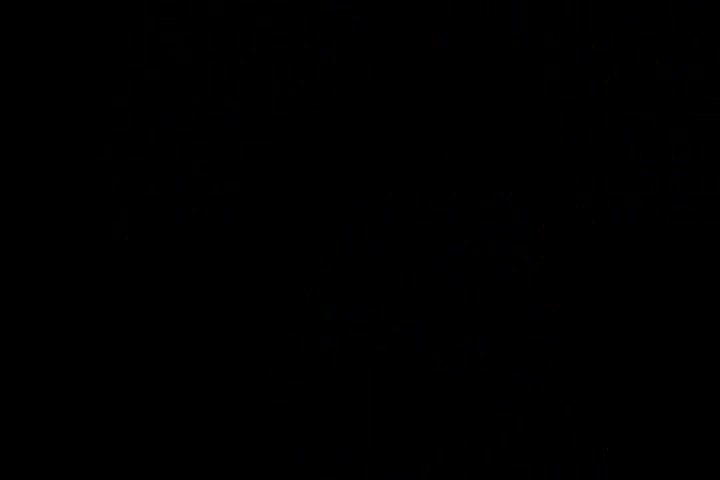 Japanese Amateur Movie