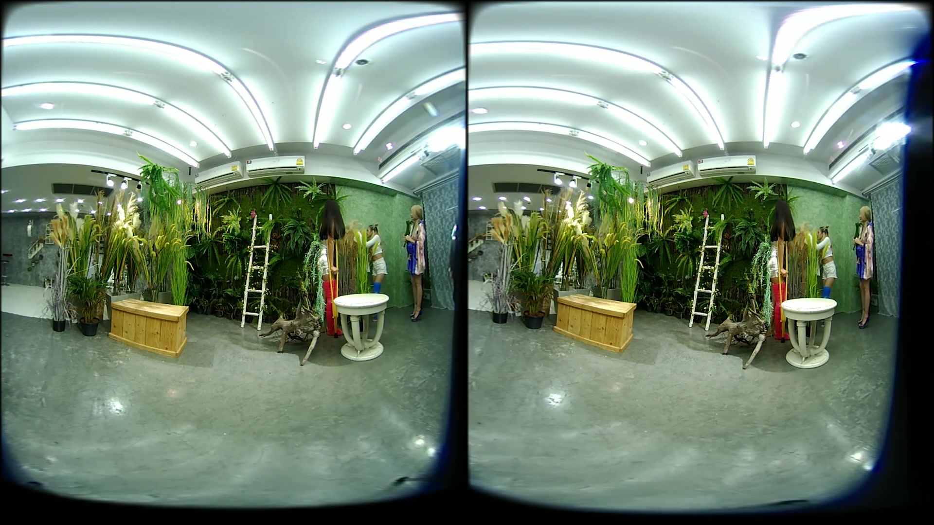 2 Girls With Long Cast Leg Visit A Flower Store 2 - VRPussyVision
