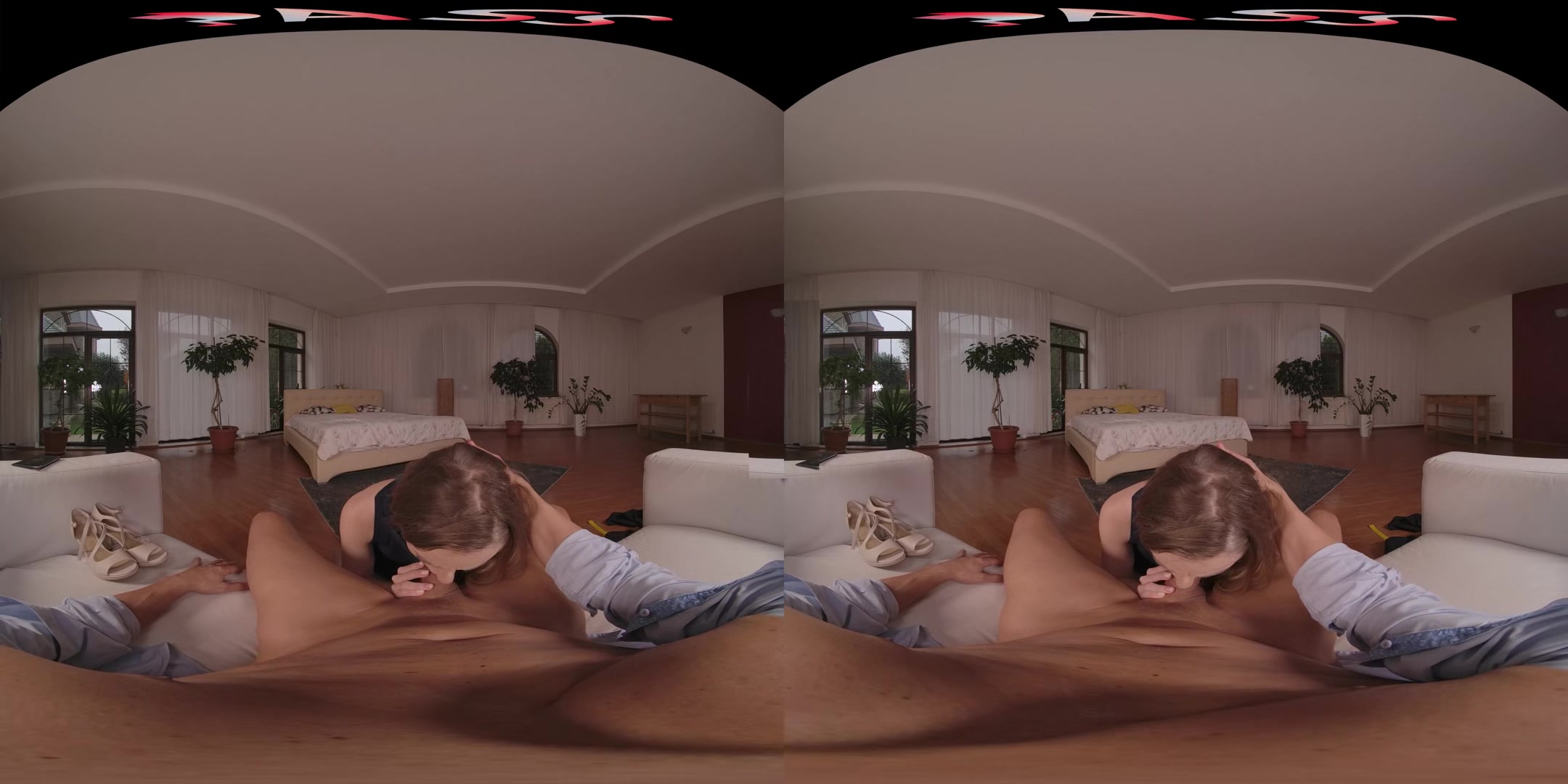 The Dutch Tailor Of Rotterdam - Fuckpassvr