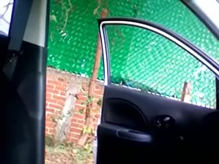 Awesome desi amateurs fuck really hard in the car