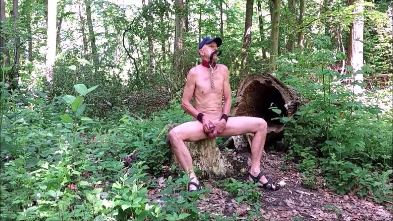 Slave Pig Exposed In Penis Cage, Outdoor Strip In Public Woods, Hiking, Masturbate Cumshot, Bdsm No Clothing 10 Min