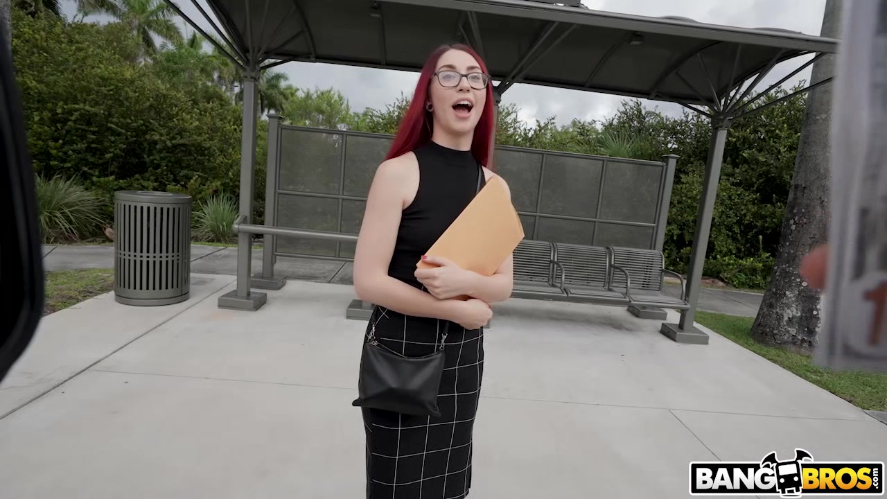 Teacher Tames a Black Mamba