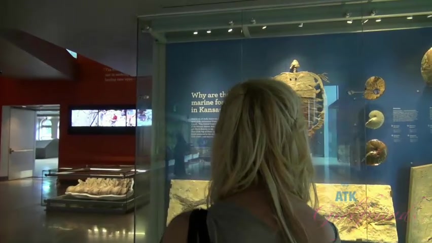 ATKGirlfriends video: virtual vacation with Amanda Bryant