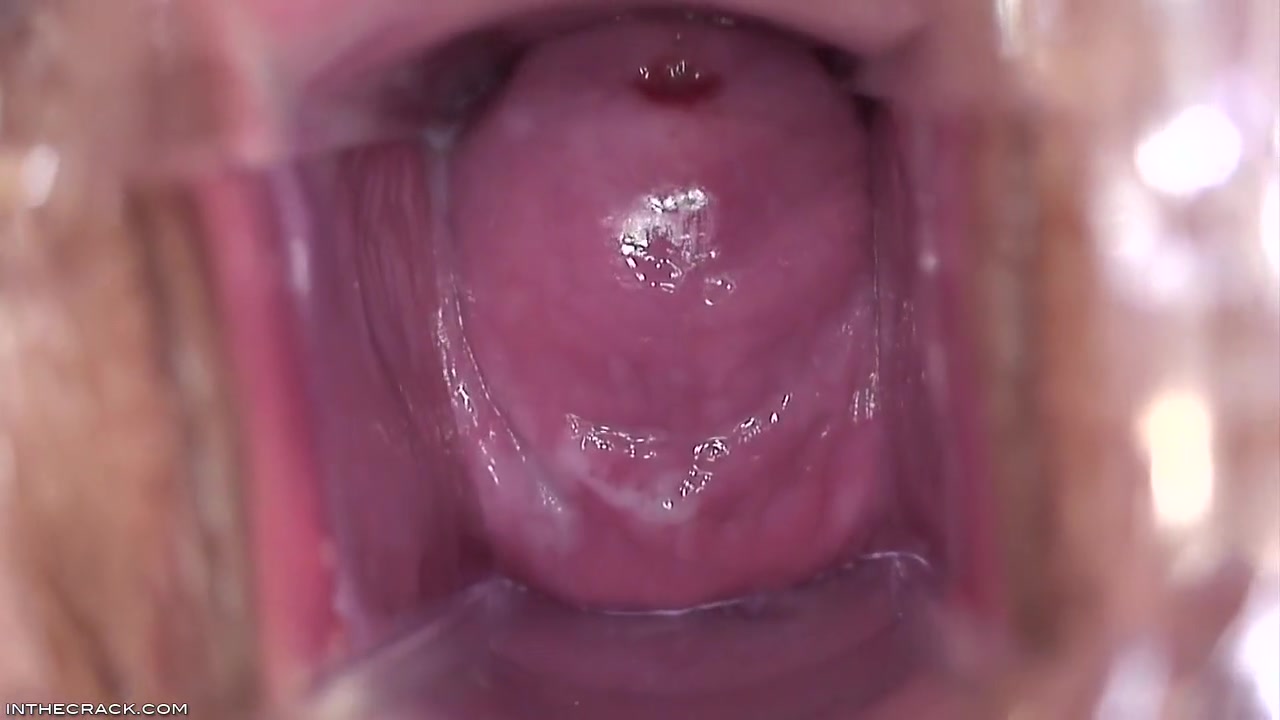 Inside Brandys Pussy