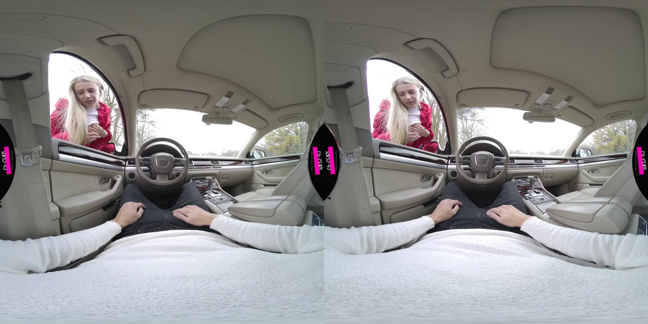 Sex In The Car With Adriana