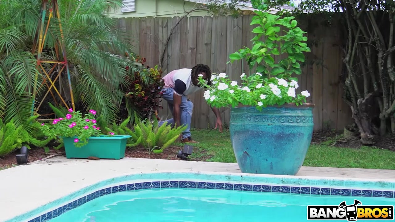 Sneaky Neighbor