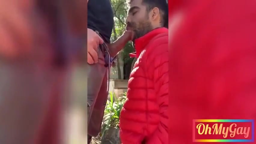 Face Hole Goats