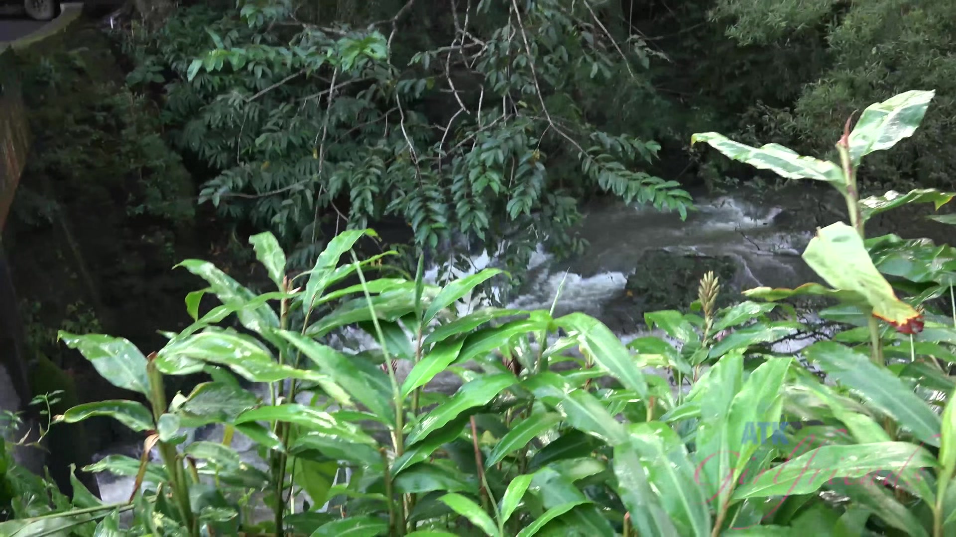 Virtual Vacation In Hawaii With Rachel James Part 4