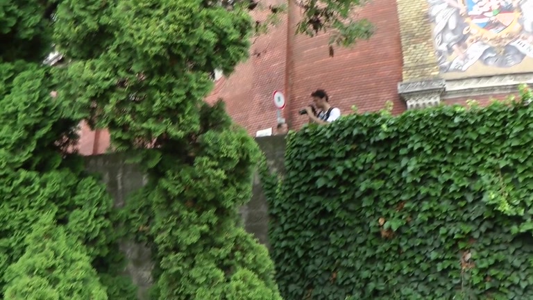 Passionate girl has sex in public place