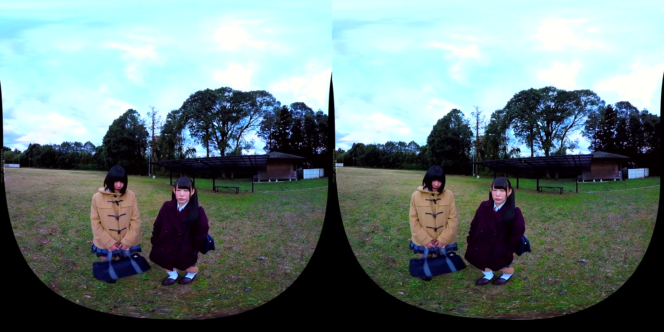 Valentine' Confession VR 2 - Softcore Non-Nude Compilation of Beautiful Japanese Girls Confessing Their Love For You