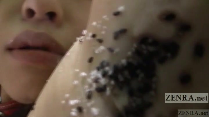 Japanese AV star bizarre rice balls armpit pressing Subtitled