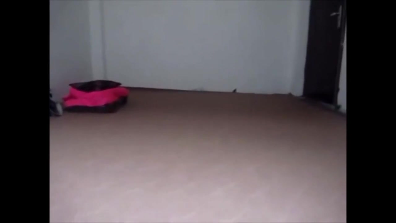 Arab or turkish guy fucked cute girl
