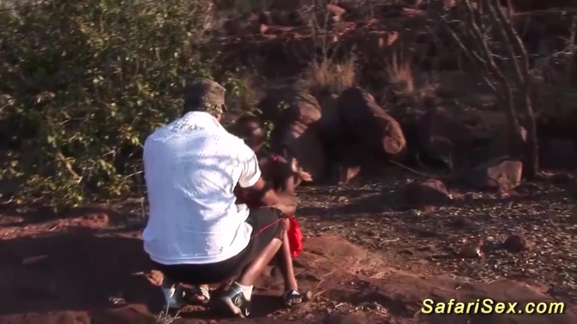 busty african babe in wild orgy
