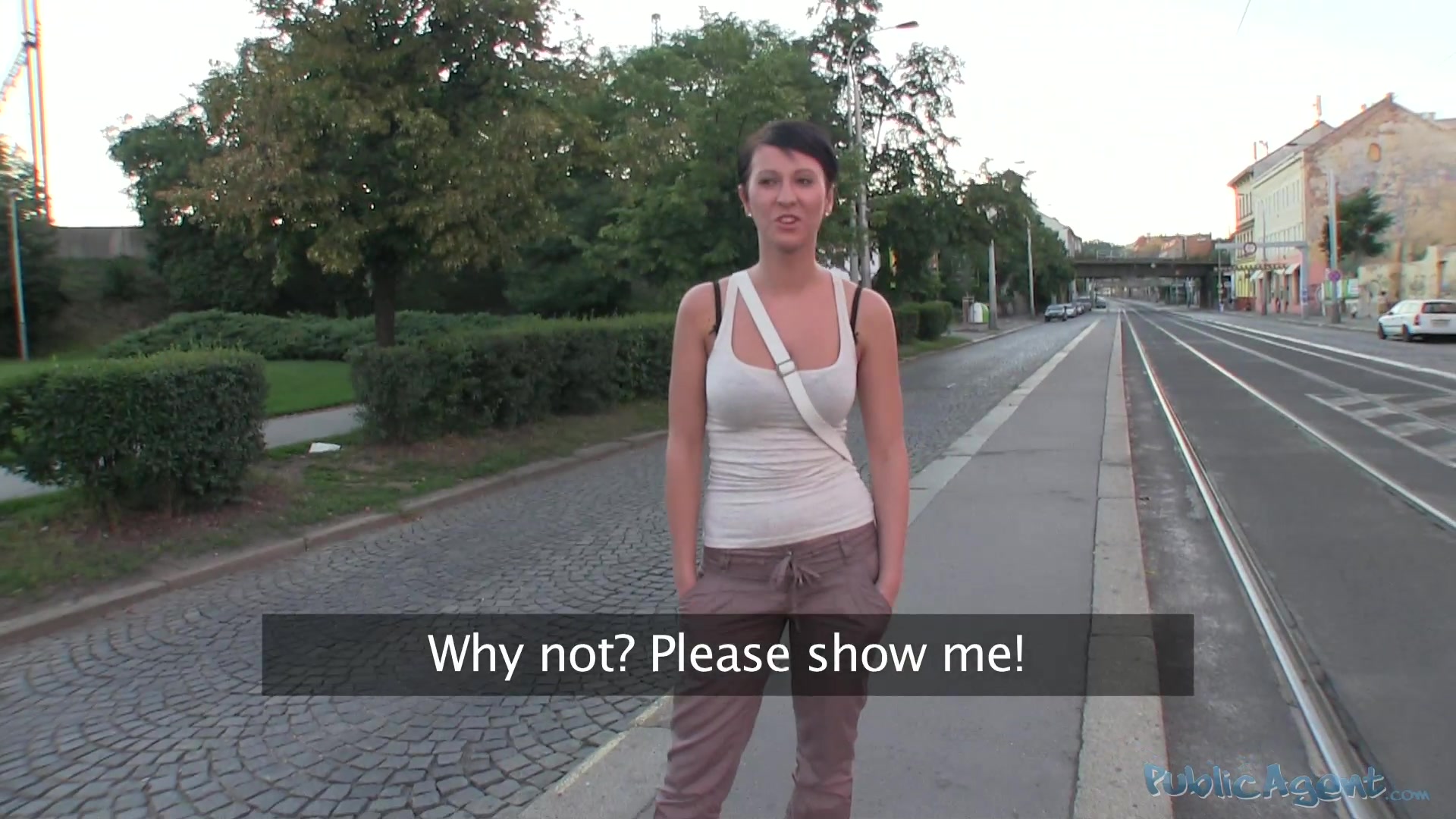 PublicAgent Scene. Nicola