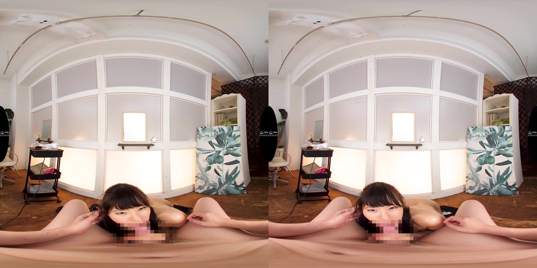 Harassing the Beautiful Stylist - V1VR