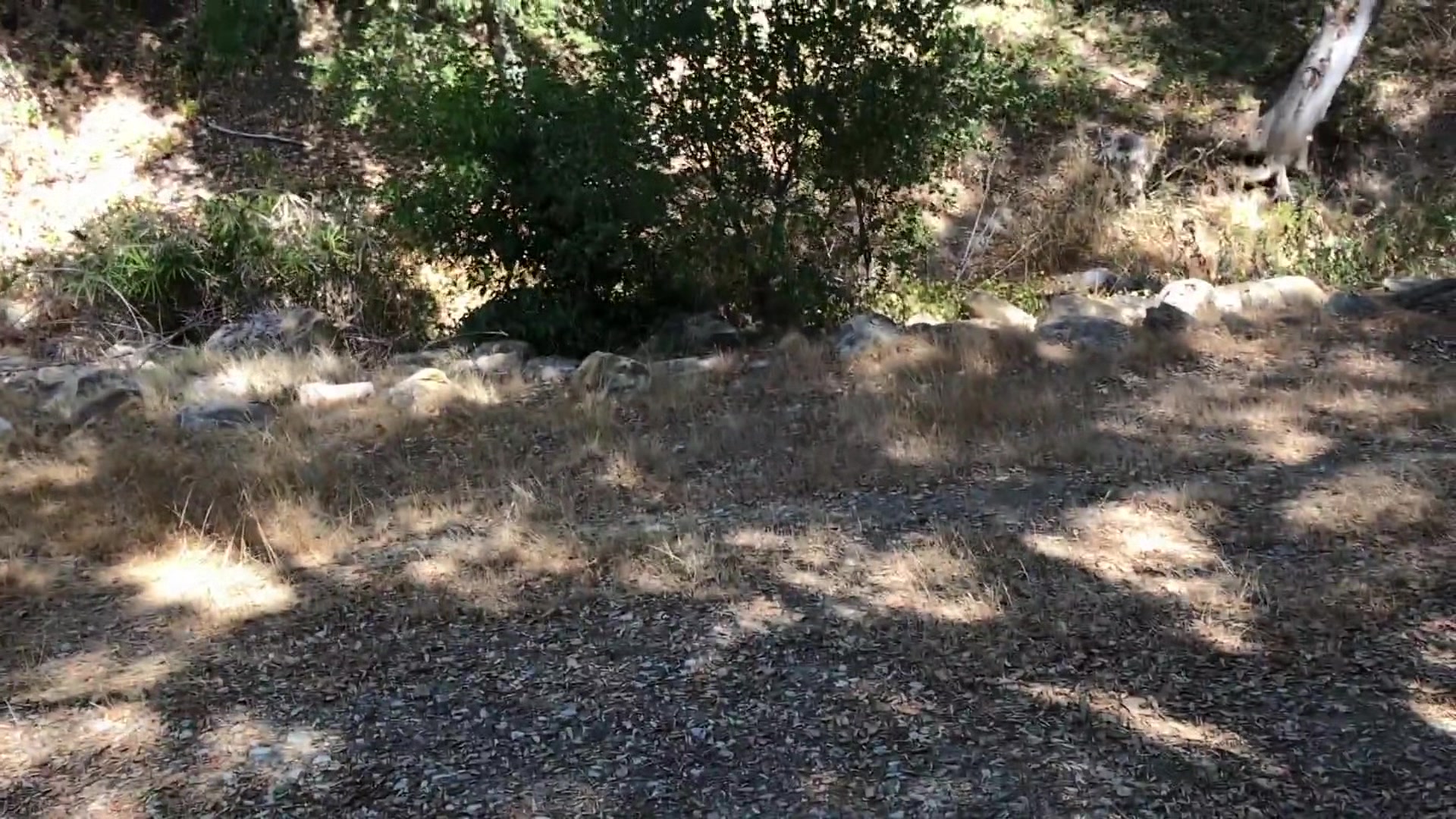 Girl Gets Her Ball From The Neighbor And Gets A Good Balling