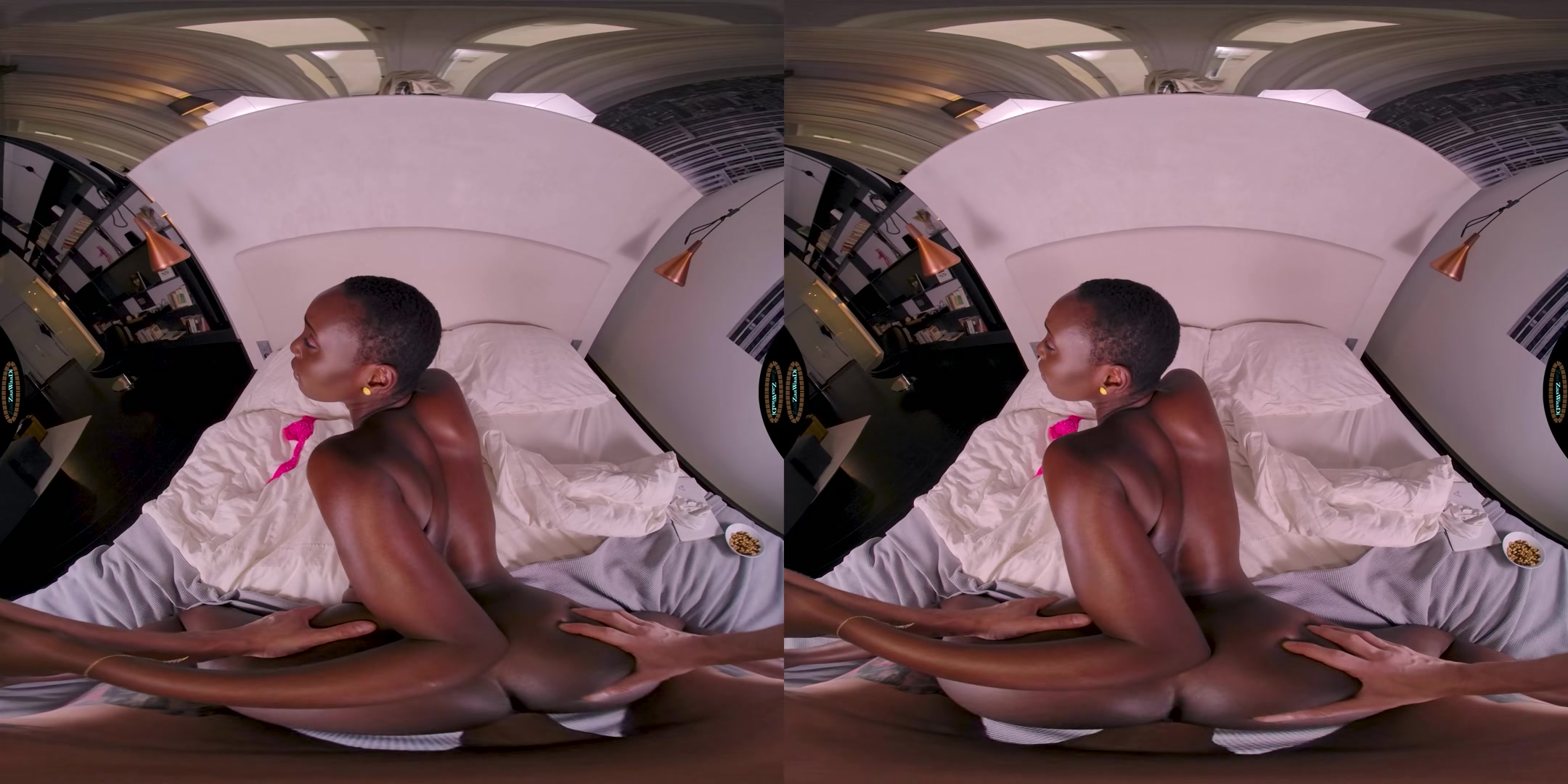 Creampie While Studying - ZaawaadiVR