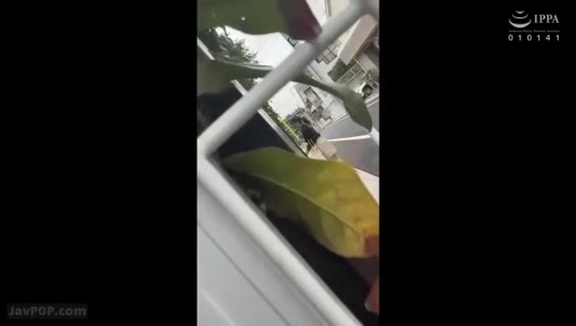 09164,SEX of a woman with a big dick