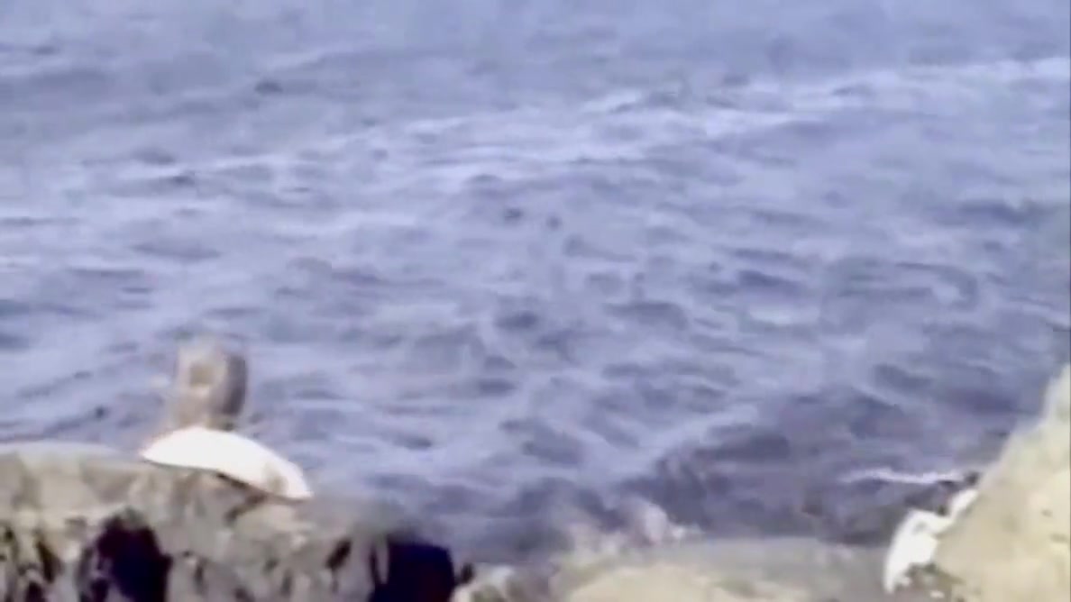 Roger Virre On The Beach 1990