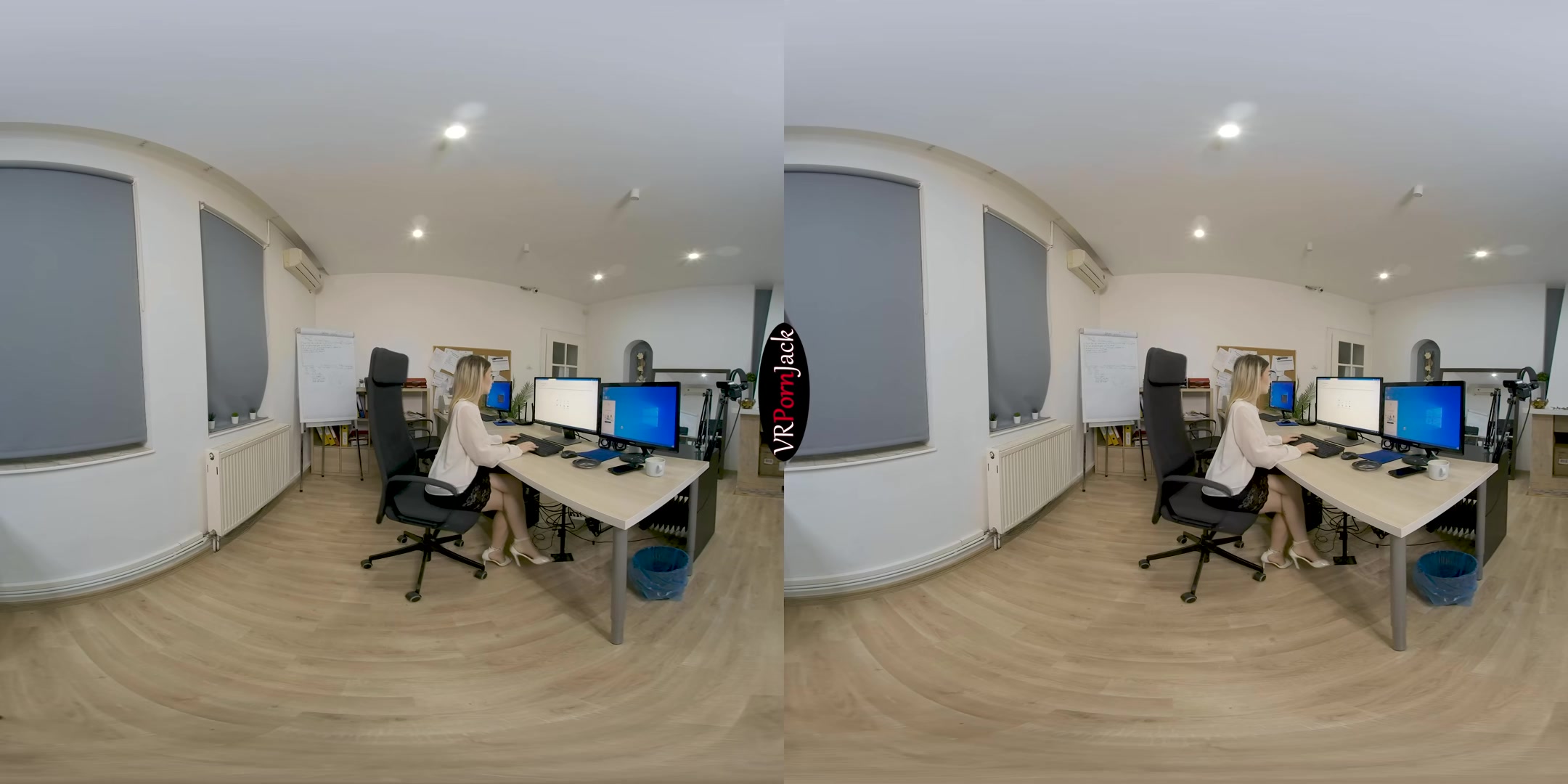 At the Office - Blackmailing My Secretary - VRpornjack