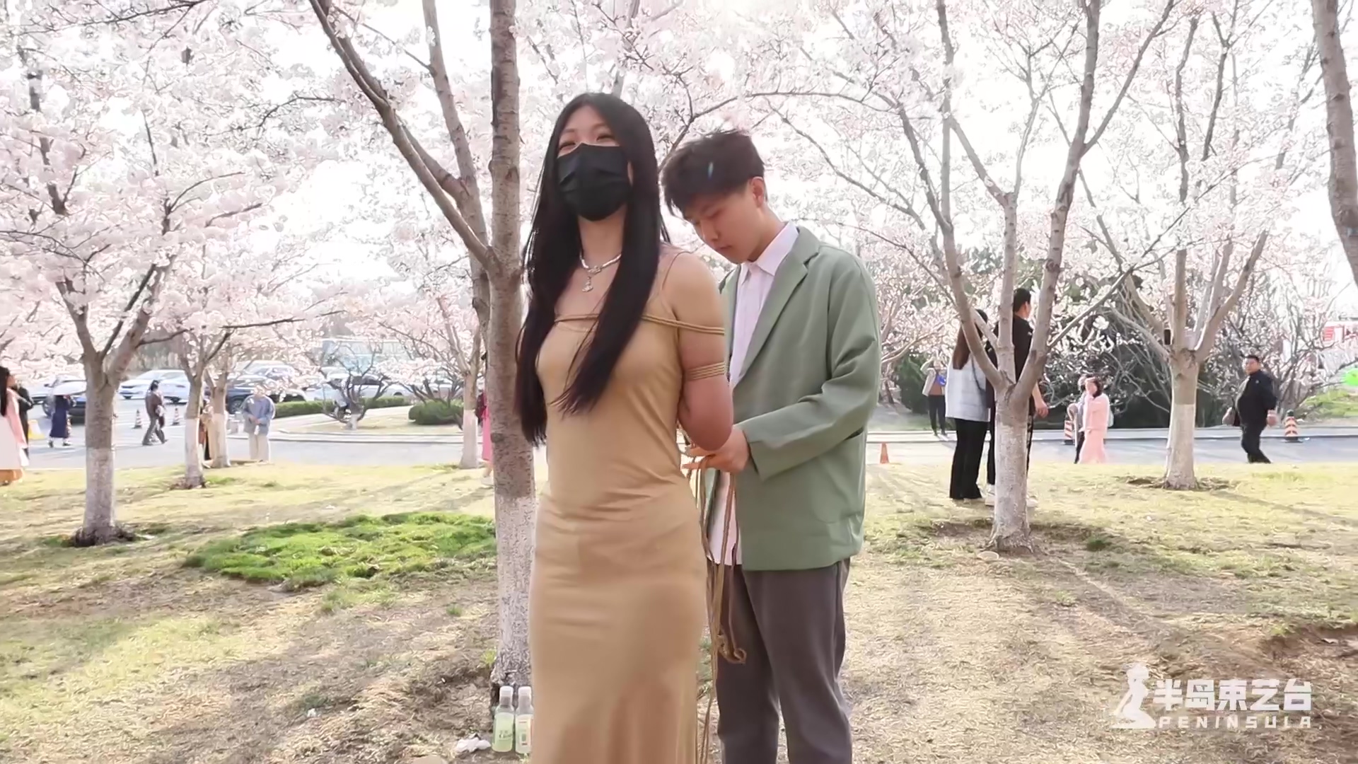 Crowded Festival Live With Cherry Blossom