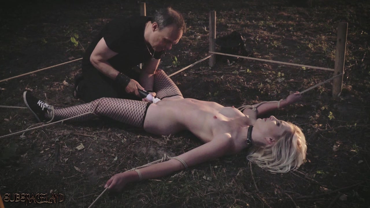 Collared slave foil wrapped to a tree