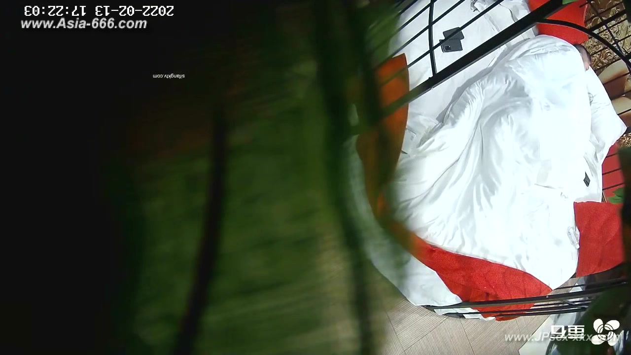 Hackers use the camera to remote monitoring of a lover's home life.575
