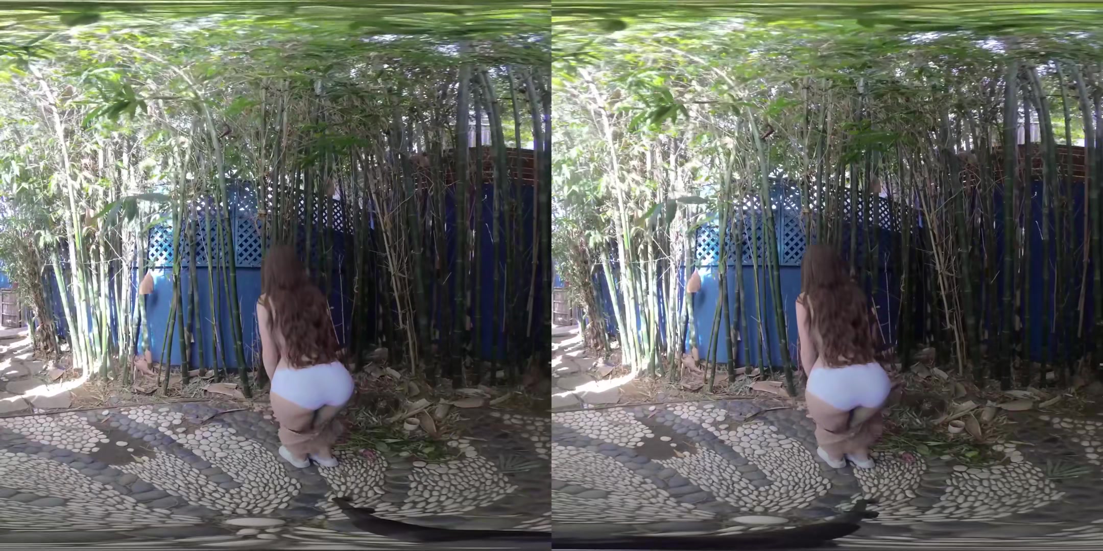 Bamboo - EmilyBloom