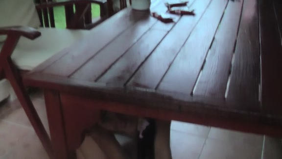 Blowjob in a bathroom