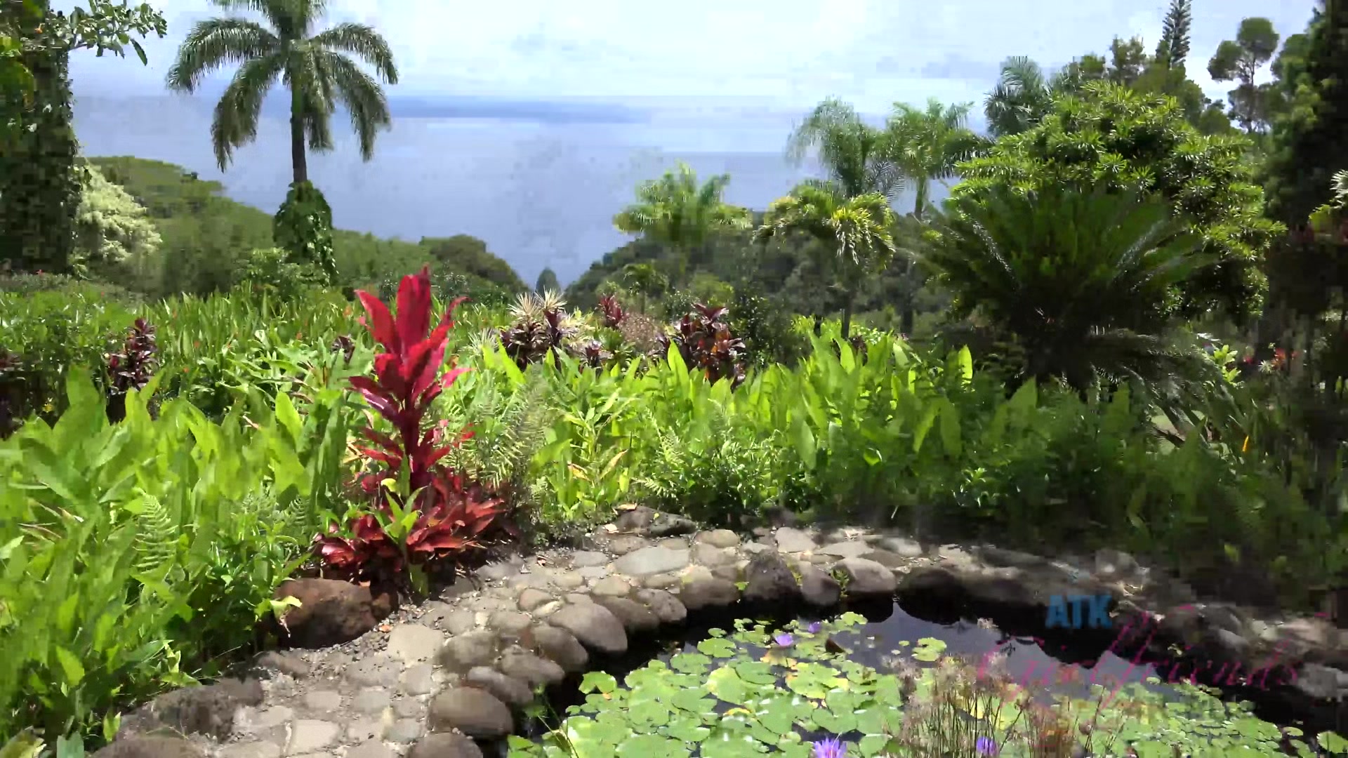 Virtual Vacation In Hawaii With Moka Mora Part 5