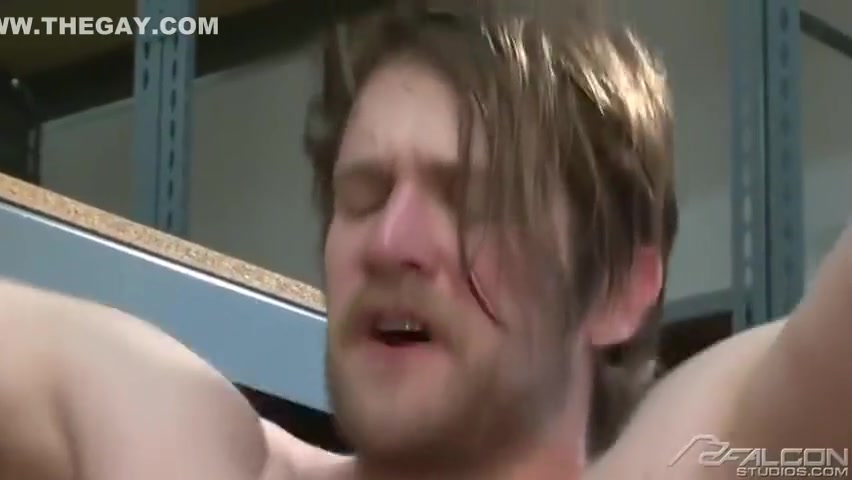 Screwy Colleagues - Colby Keller, Conner Habib And Girth Brooks