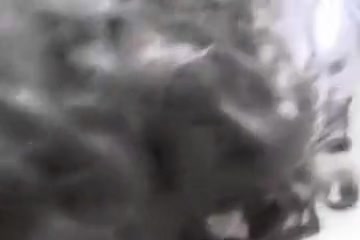 Lingerie Crossdresser Suck And Fuck Bbc