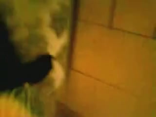 Horny couple banging on the floor