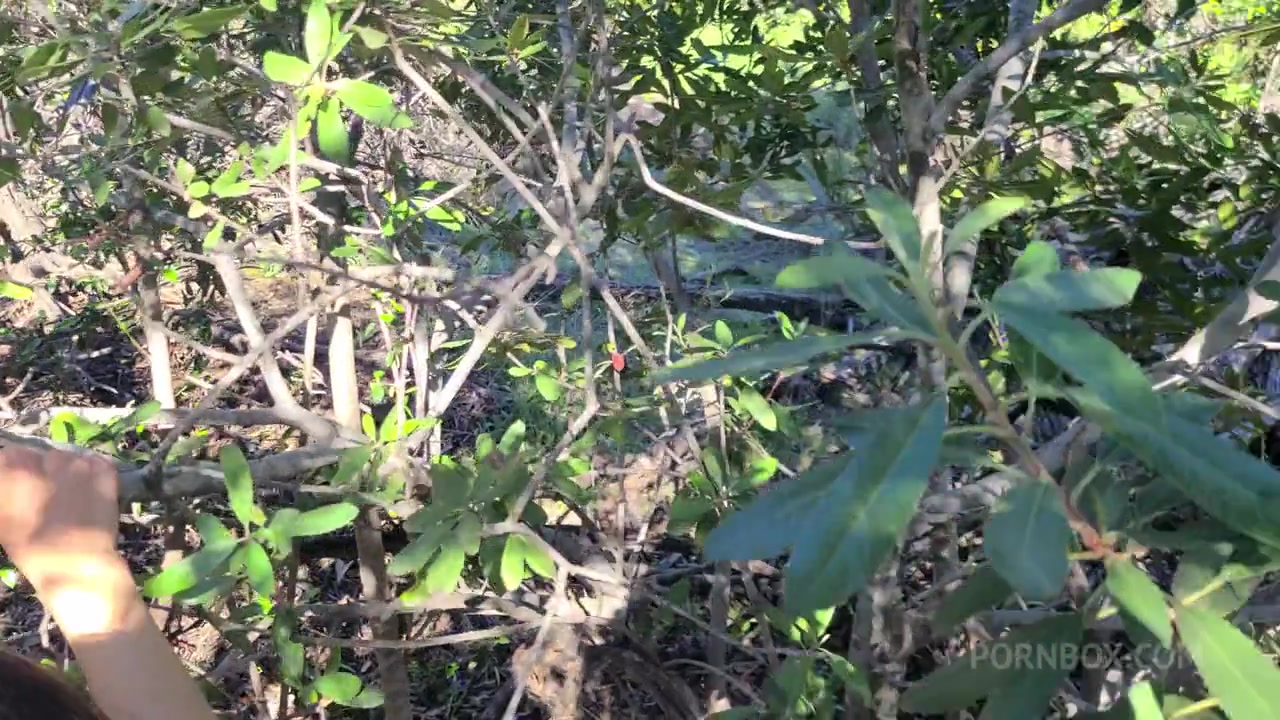 Tru Kait Outdoor Fuck - PissVids