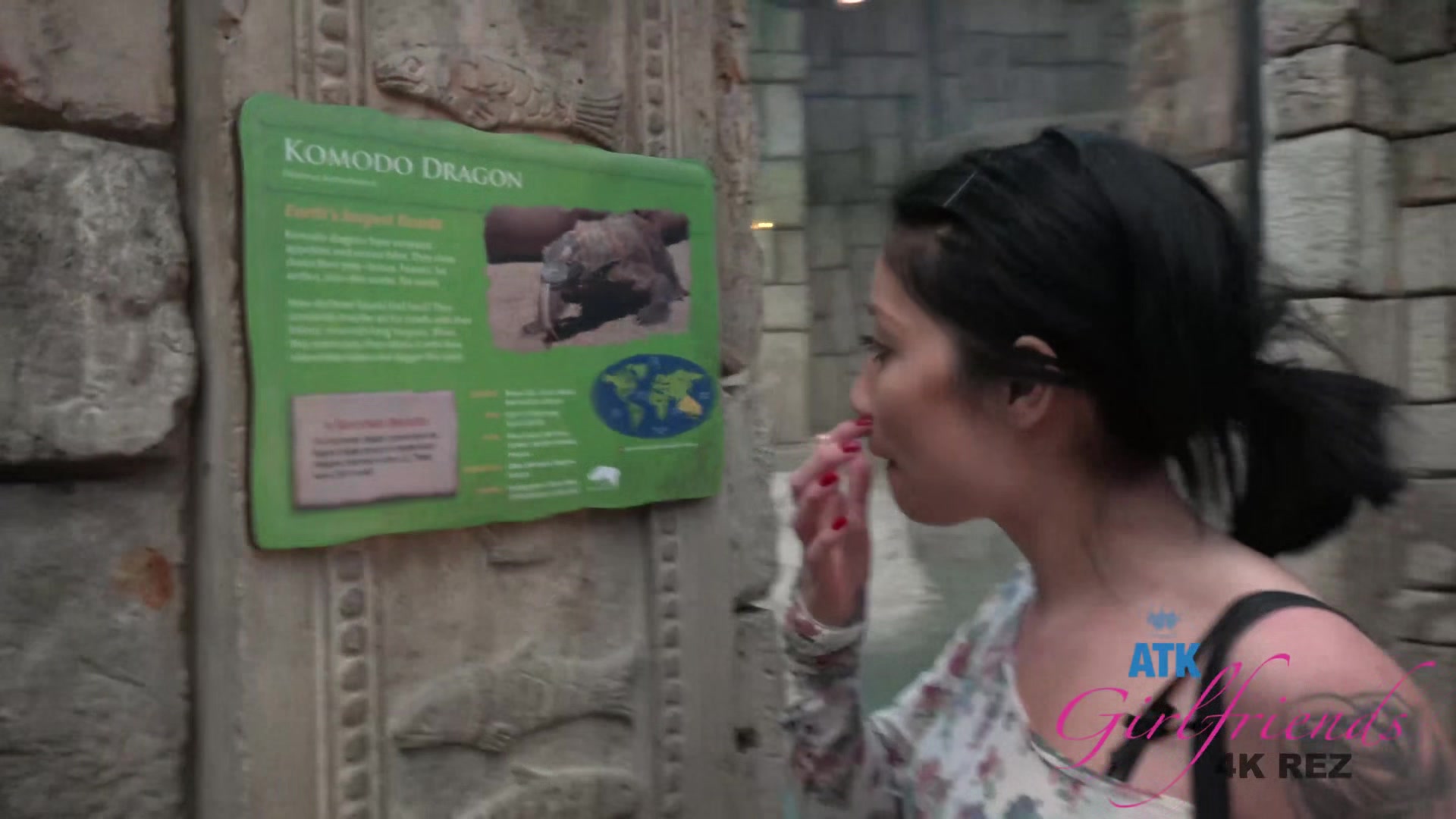 Virtual Vacation In Las Vegas With Rina Ellis Part 1