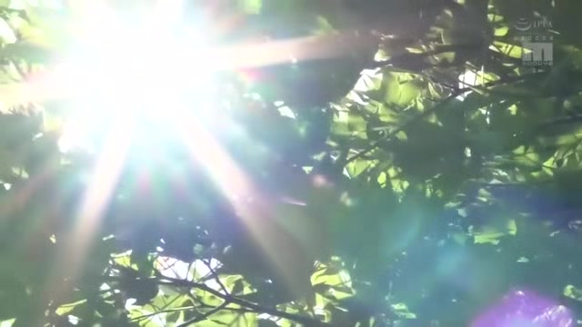 05661,A female voice leaks out in pleasure