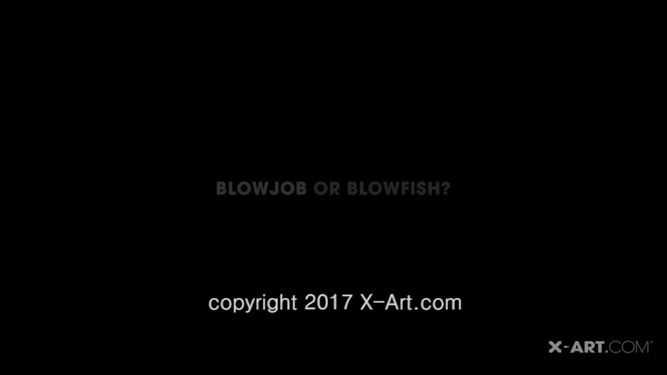 Blowjob Or Blowfish - X-Art